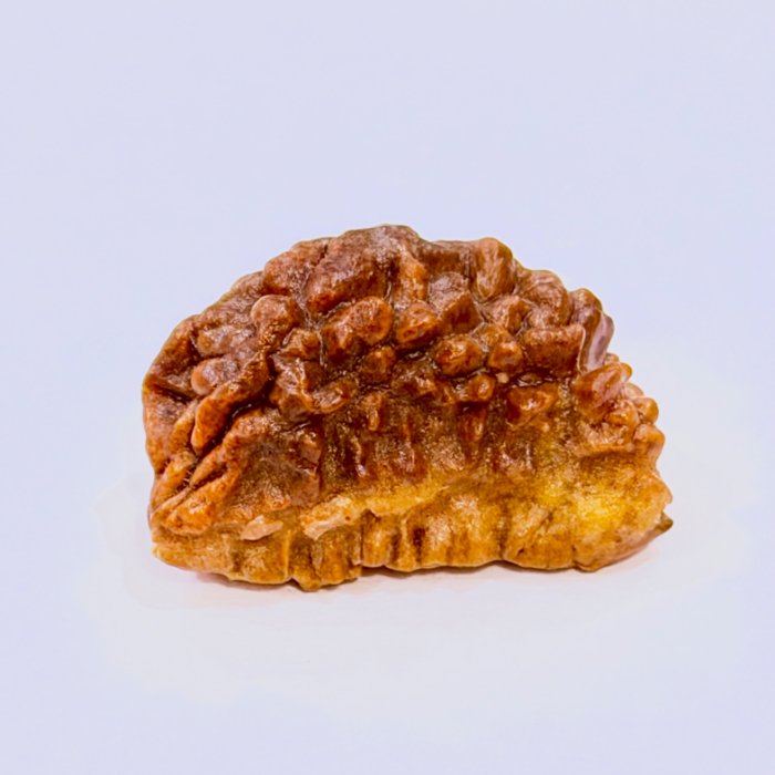 1 mukhi rudraksh dana