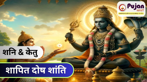 Shani Ketu Arisht Yog Shanti