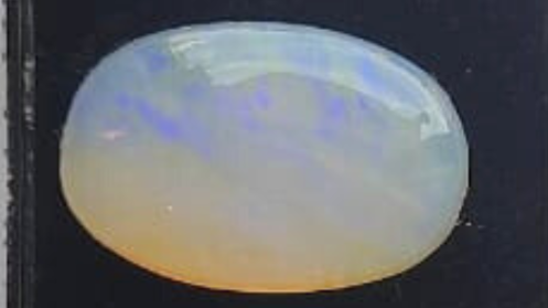 OPAL