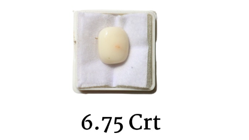 WHITE CORAL