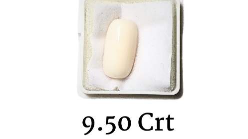 WHITE CORAL