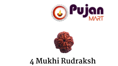 4 Mukhi Rudraksh