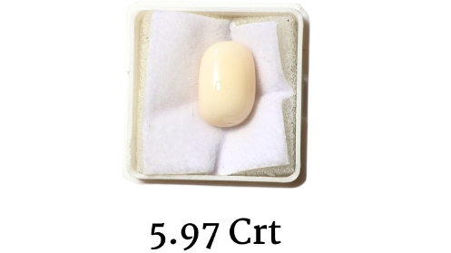 WHITE CORAL