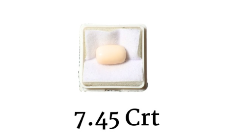 WHITE CORAL