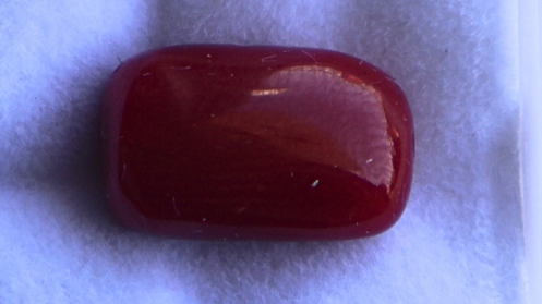 CORAL