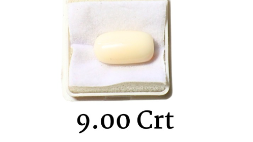 WHITE CORAL