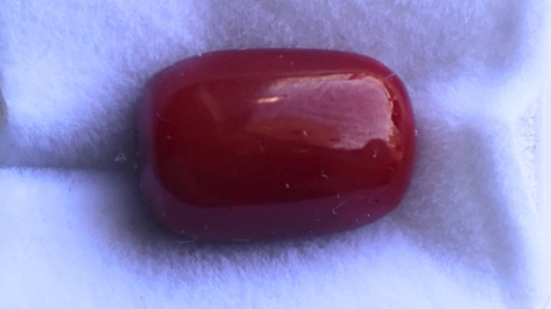 CORAL
