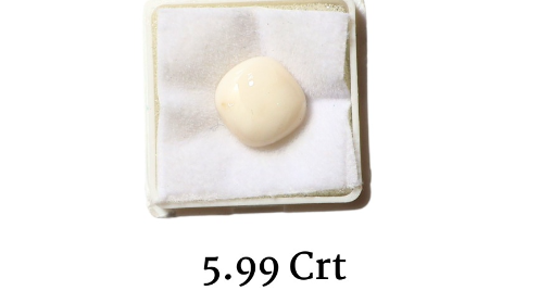 WHITE CORAL