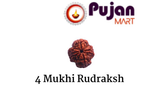 4 Mukhi Rudraksh