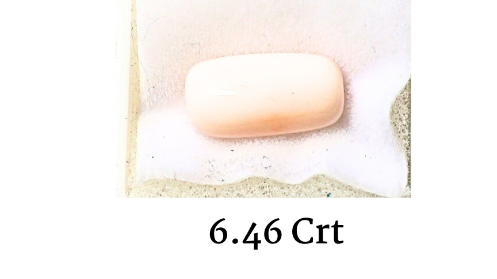 WHITE CORAL