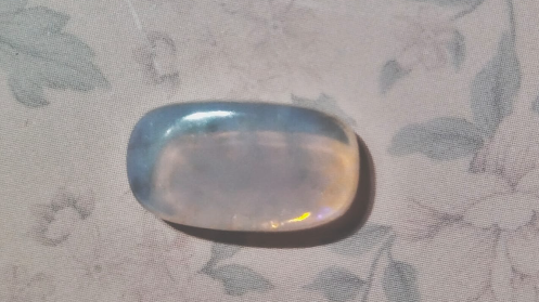 OPAL