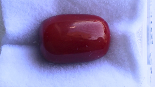 CORAL