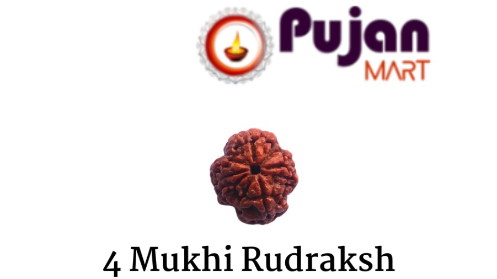 4 Mukhi Rudraksh