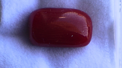 CORAL