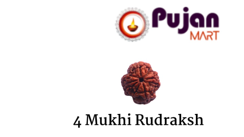 4 Mukhi Rudraksh
