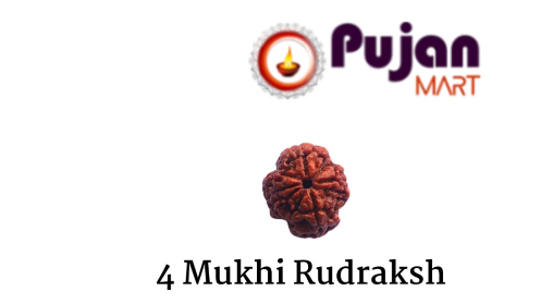4 Mukhi Rudraksh