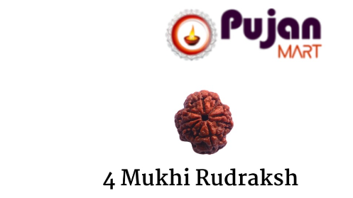4 Mukhi Rudraksh
