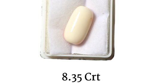 WHITE CORAL